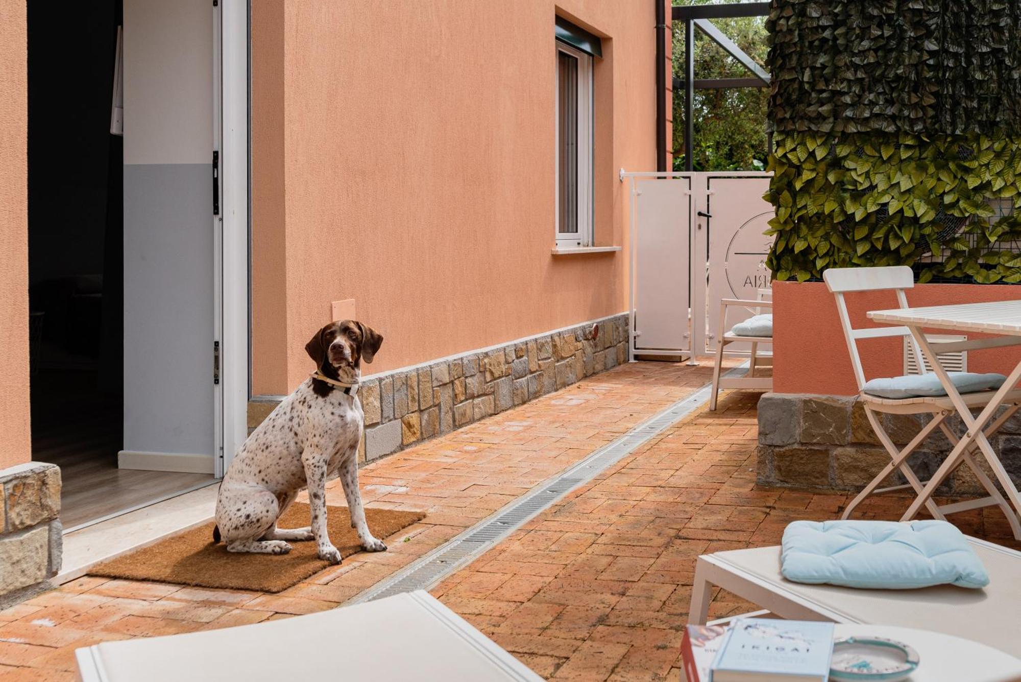 Casa Vittoria Agropoli Exterior foto