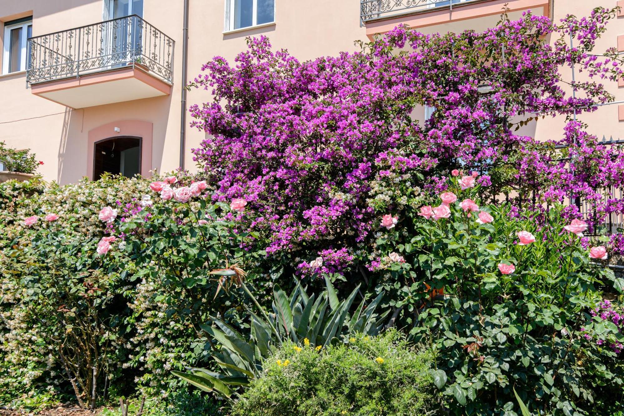 Casa Vittoria Agropoli Exterior foto